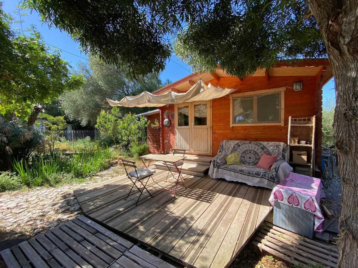 El Canto De Las Ranas Villa Barbate Exterior photo